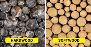 hardwood vs softwood