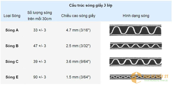 song-giay-carton