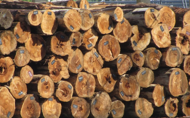 wood imports
