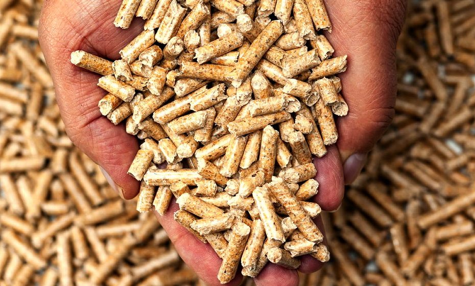 what-do-you-know-about-sawdust-pellets-woditex