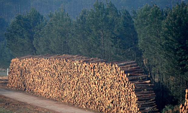 Wood-Based Biomass