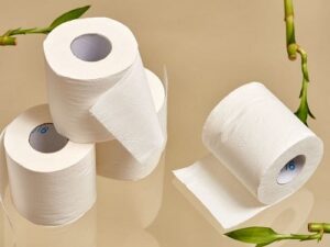 toilet paper market