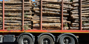 lumber price soaring