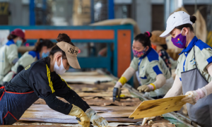 workers handle plywood