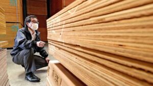 skyrocketing timber
